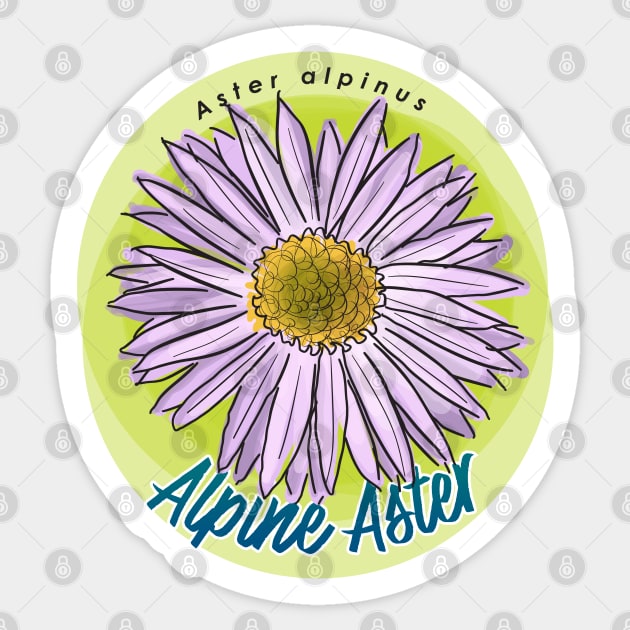 Alpine Aster Sticker by unclelindsey